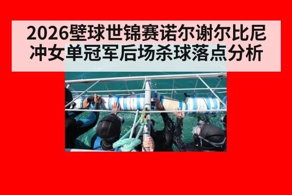 2026壁球世锦赛诺尔谢尔比尼冲女单冠军后场杀球落点分析